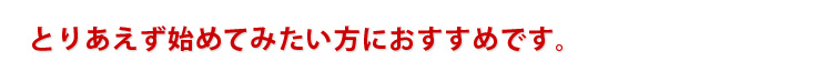 とりあえず始めてみたい方におすすめ